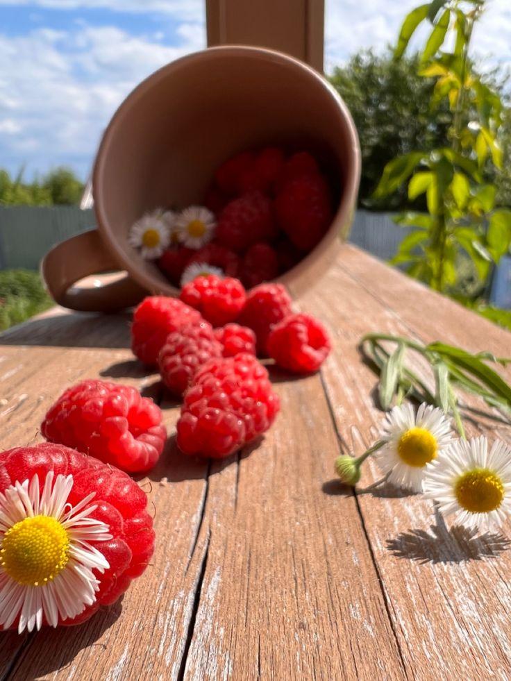 Orchard's Whisper: Fresh-Picked Berry Medley